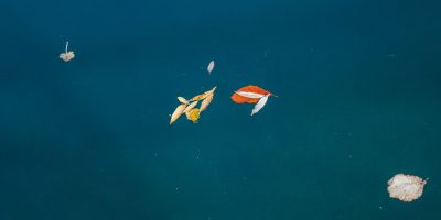 Was ist Körperpsychotherapie? Bild Was ist Körperpsychotherapie?