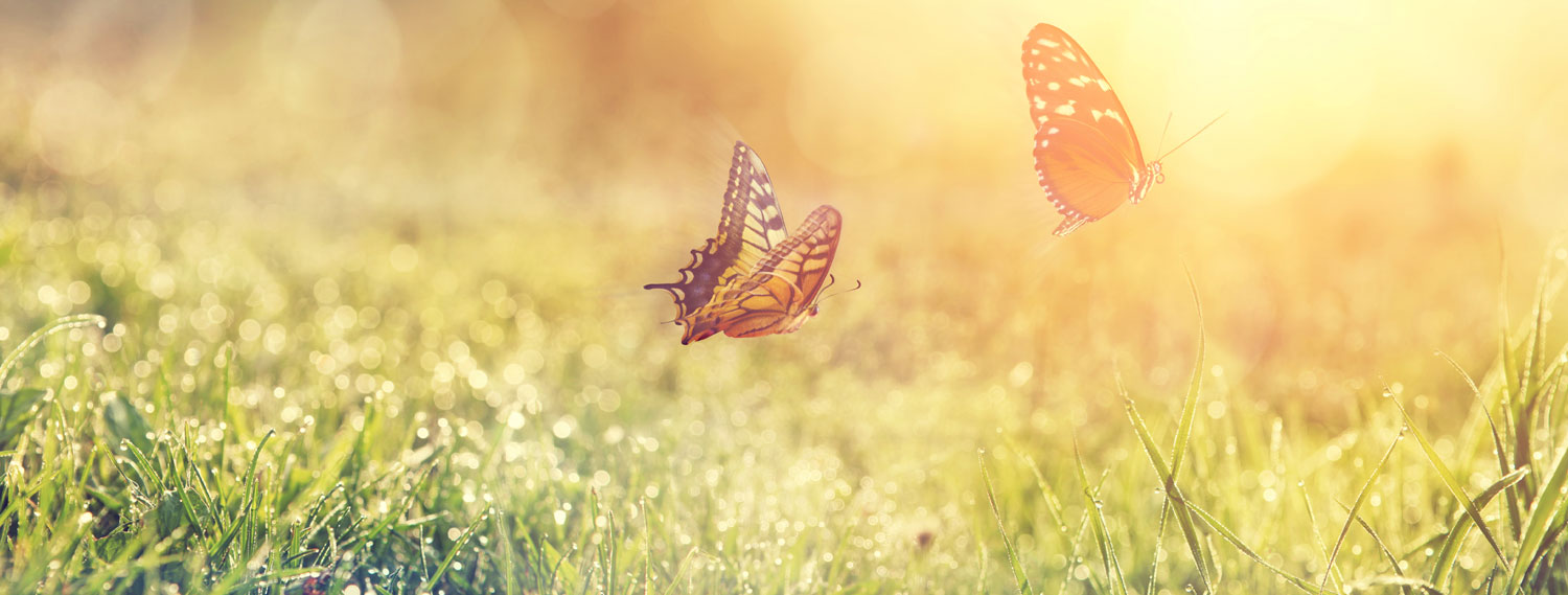 Gesundheit im Zentrum Gesundheit im Zentrum