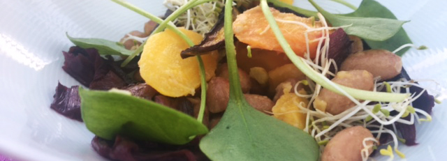 Gesundheit im Zentrum Gesundheit im Zentrum