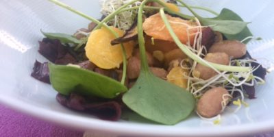 Borlottibohnensalat mit bunten Karotten, Radicchio und Postelein Bild Borlottibohnensalat mit bunten Karotten, Radicchio und Postelein