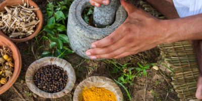 Kräuter und Gewürze im Ayurveda Bild Kräuter und Gewürze im Ayurveda