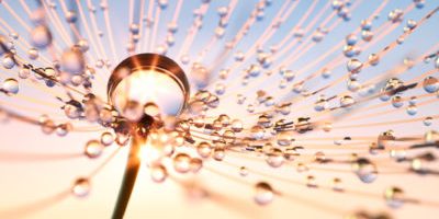 Osteopathie nach Unfällen und Verletzungen Bild Osteopathie nach Unfällen und Verletzungen