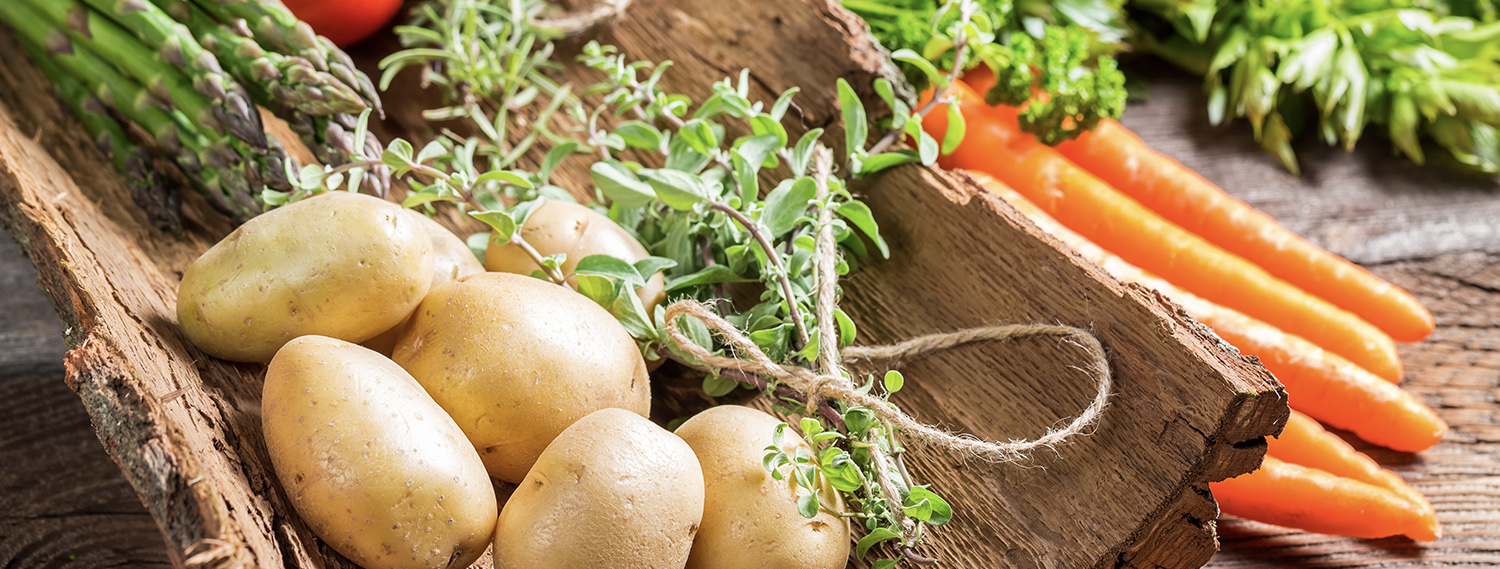 Gesundheit im Zentrum Gesundheit im Zentrum