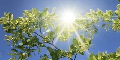 Vorsicht Sonnenstich! Bild Vorsicht Sonnenstich!