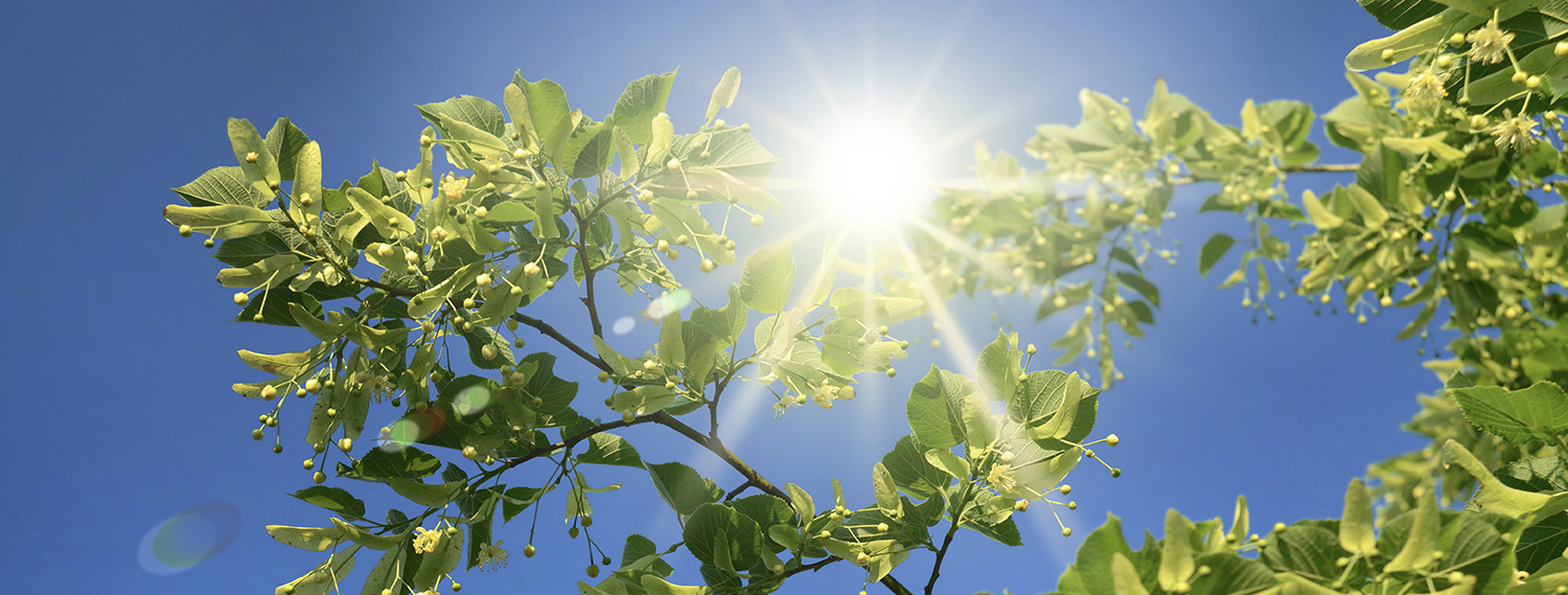 Gesundheit im Zentrum Gesundheit im Zentrum