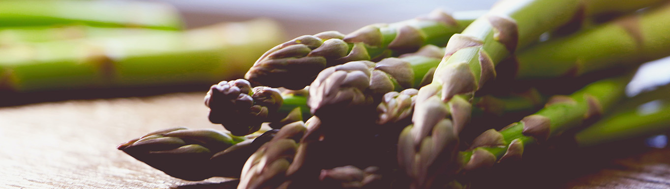 Gesundheit im Zentrum Gesundheit im Zentrum