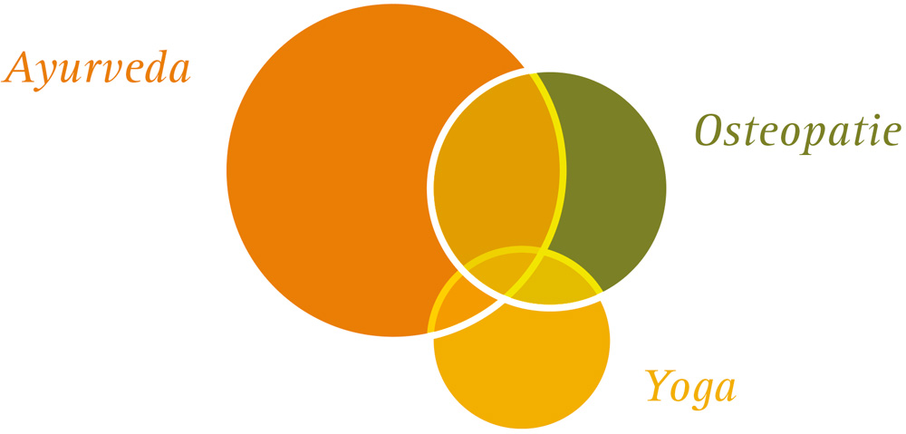 Grafik Bewegungsapparat