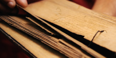 Bild Doshas – die Funktionsprinzipien des Ayurveda