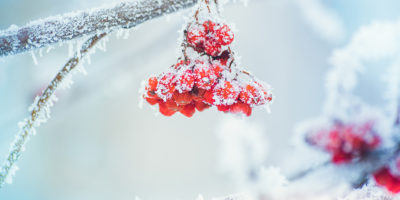 10 Tipps gegen Frieren – Ayurveda hält Sie warm Bild 10 Tipps gegen Frieren – Ayurveda hält Sie warm