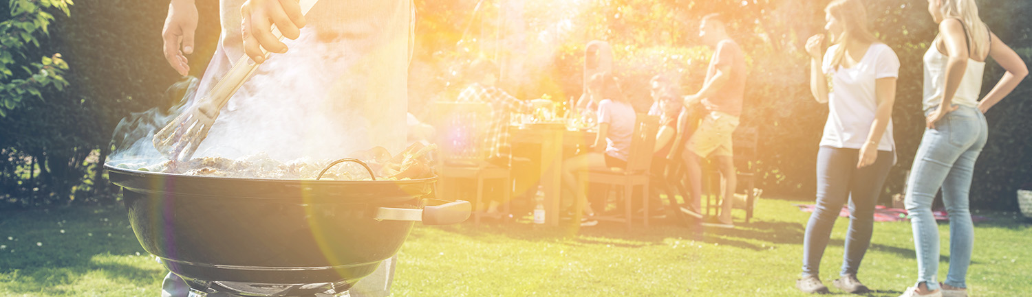 Ayurvedisches BBQ Ayurvedisches BBQ