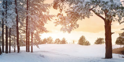 Bild Die wiederkehrende Einsamkeit