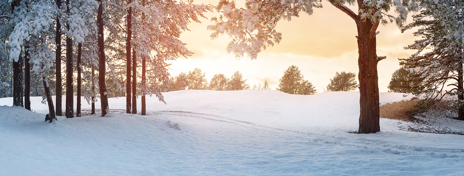 Einsamkeit-banner Einsamkeit