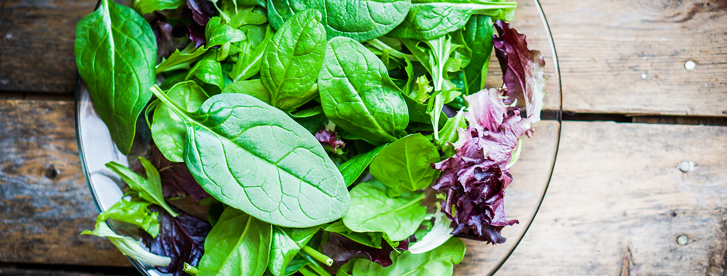 Ayurvedische Sommersalate Ayurvedische Sommersalate