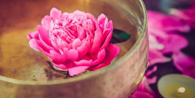 Eine Blü+te in einer Klangschale als Symbolbild für die RoSana Ayurvedakuren