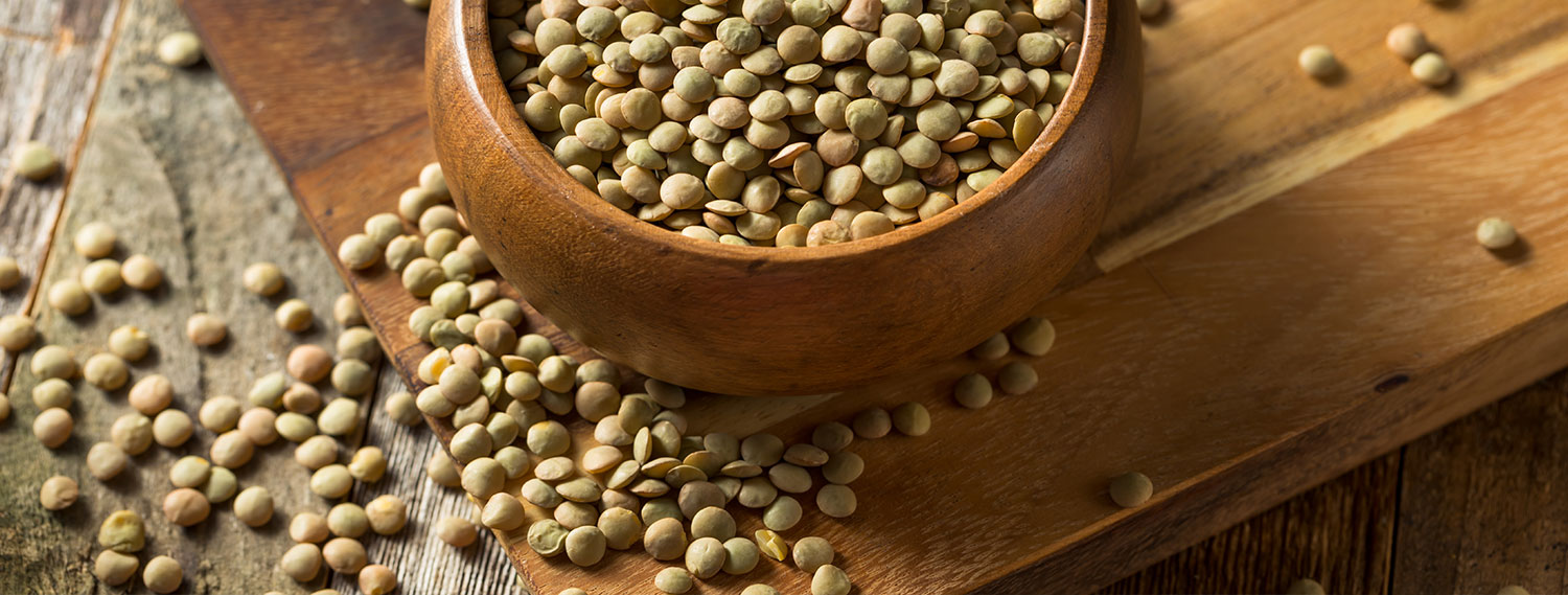 Linsengerichte-Banner Linsengerichte Banner