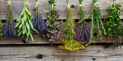 Ayurvedische Frühlingssuppen Bild Ayurvedische Frühlingssuppen