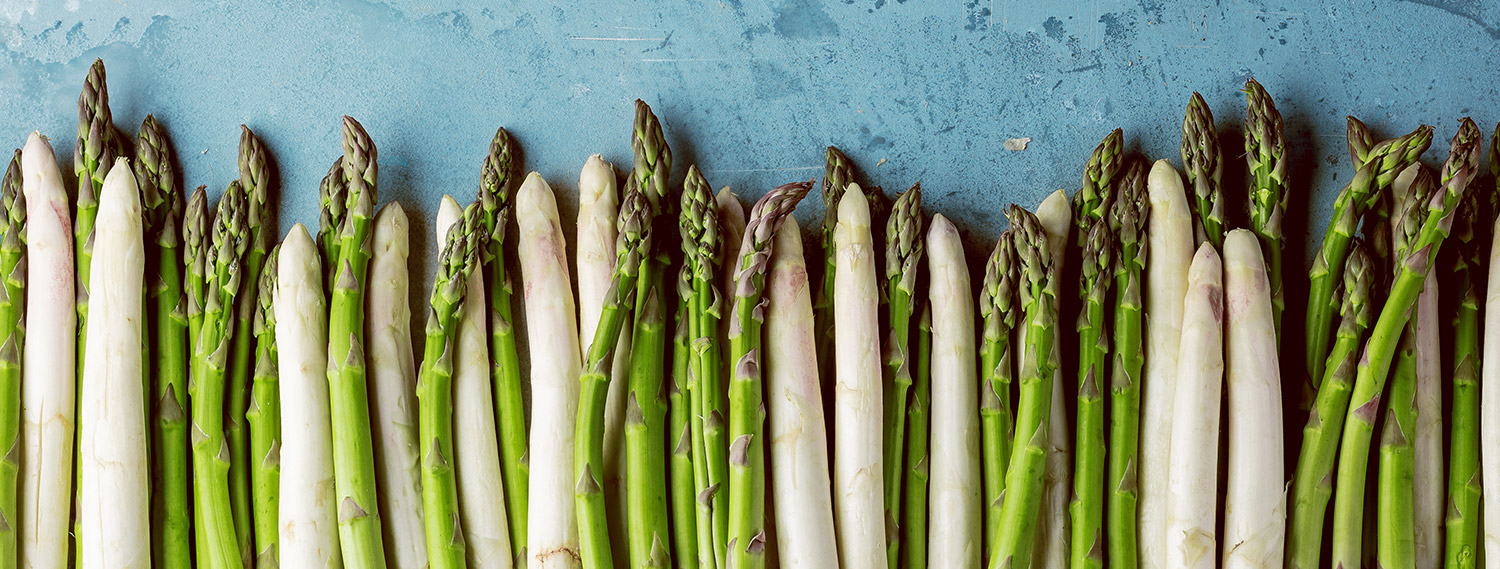 Spargel-Banner Spargel Banner