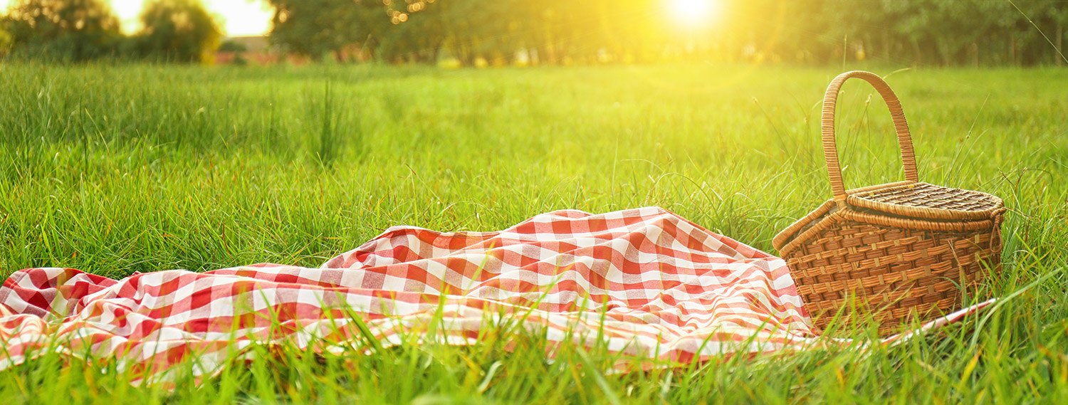 Ayurveda-Picknick-Banner Ayurveda-Picknick-Banner