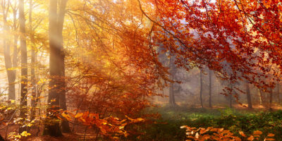 10 Herbst-Tipps Bild 10 Herbst-Tipps