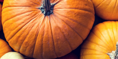 Ayurvedische Rezepte mit Kürbis Bild Ayurvedische Rezepte mit Kürbis