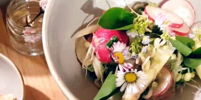 Mungbohnensprossen-Salat Bild Mungbohnensprossen-Salat