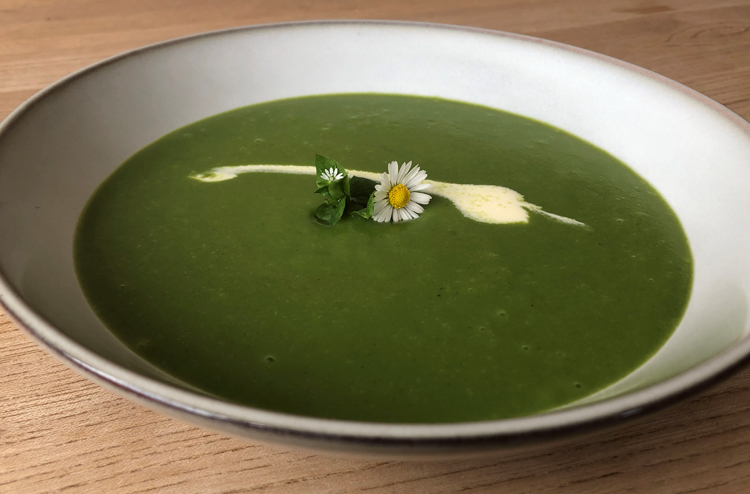 Frühlingssuppen-Brennesselsuppe