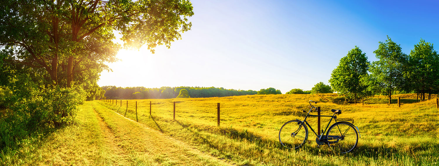 Hitzetipps-Banner Hitzetipps-Banner