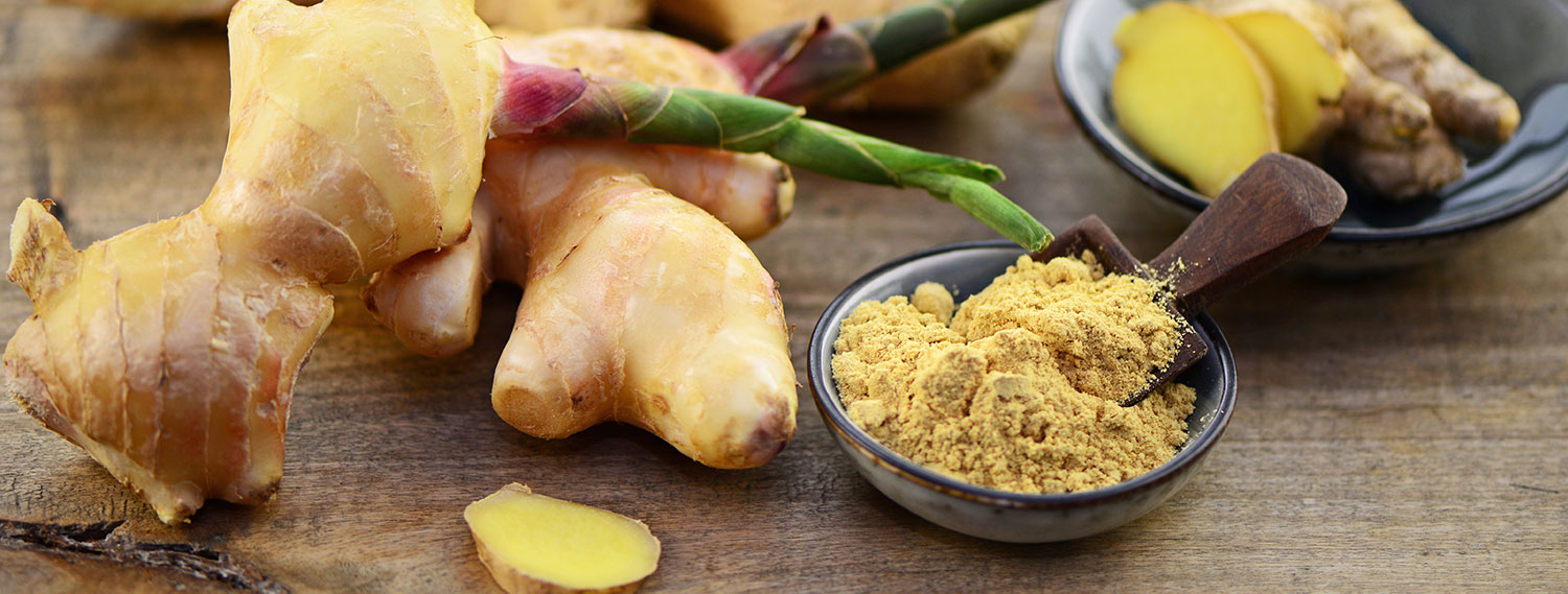 Ingwer-Banner Ingwer-Banner