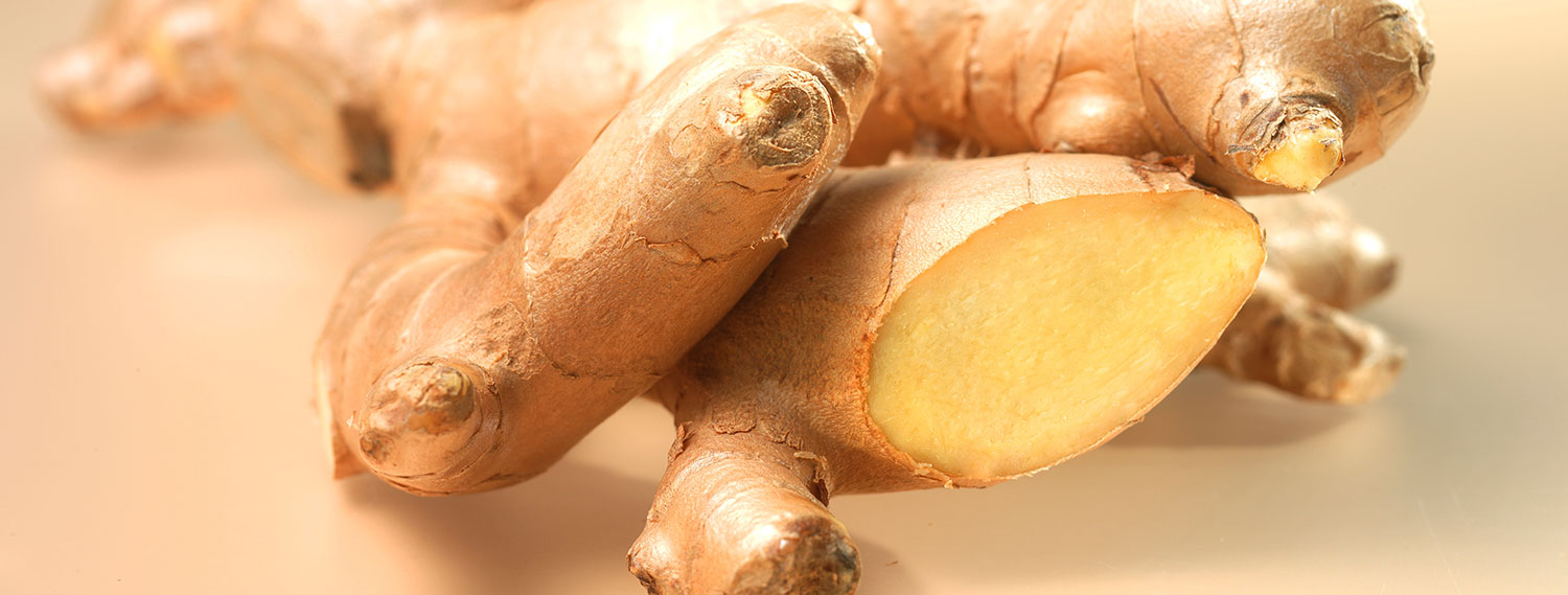 Ingwer-Rezepte-Banner Ingwer-Rezepte-Banner