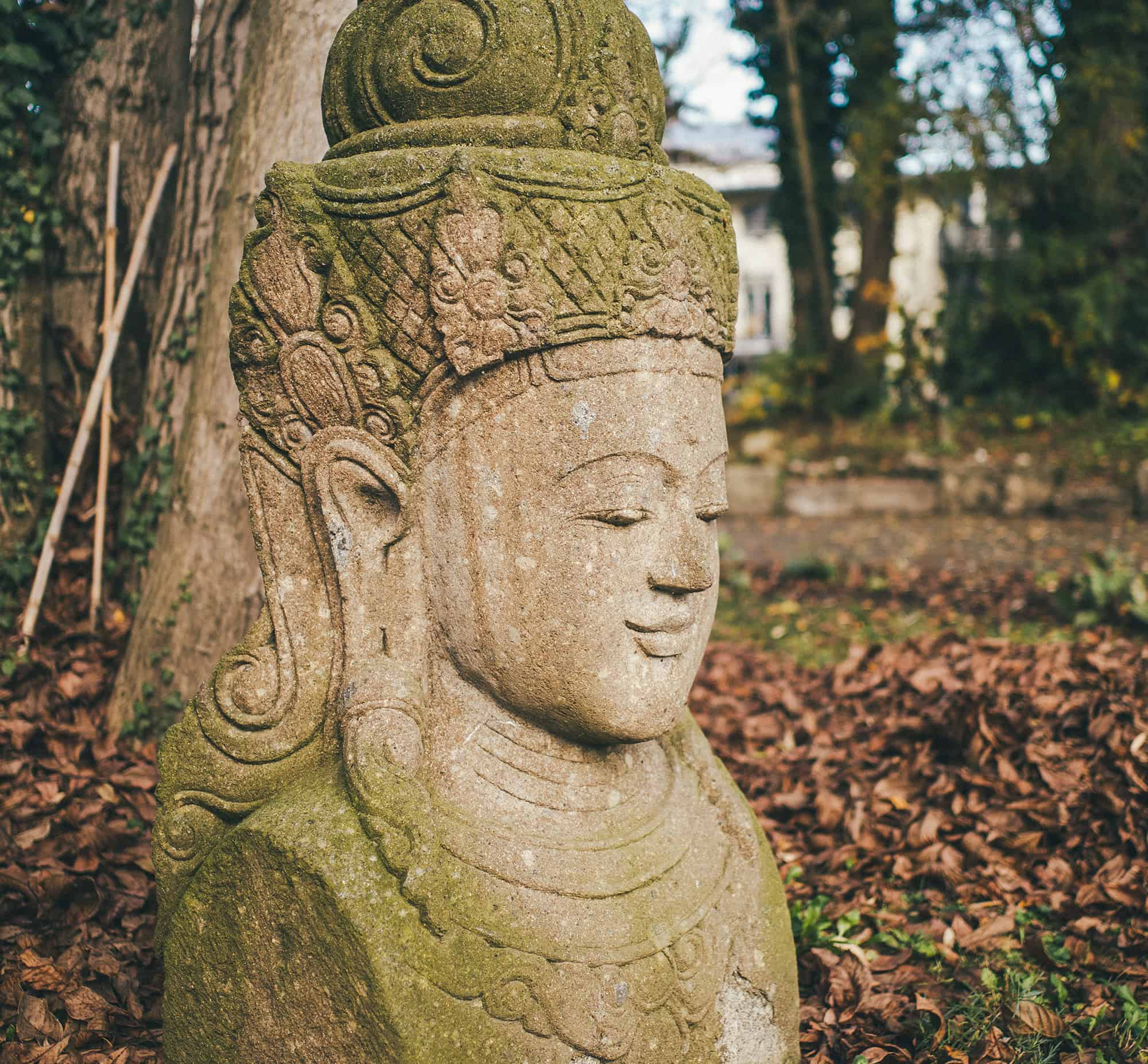 Erfahrungsbericht-Susanne