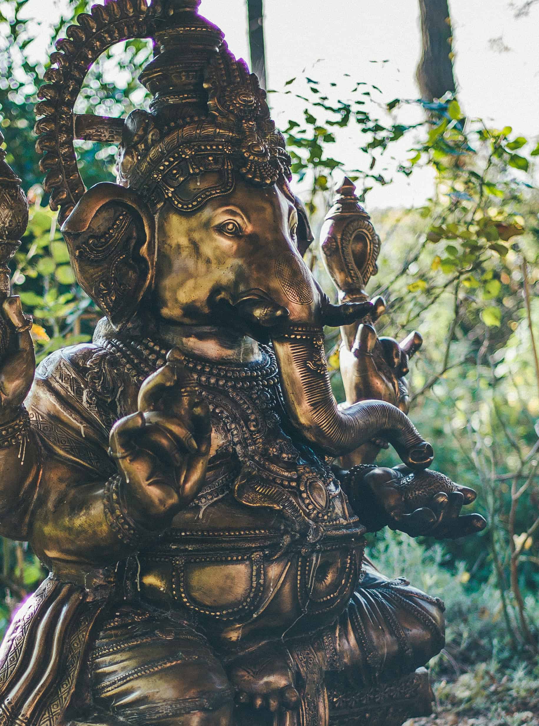 RoSana-Immunbooster-Kuren-Ganesha