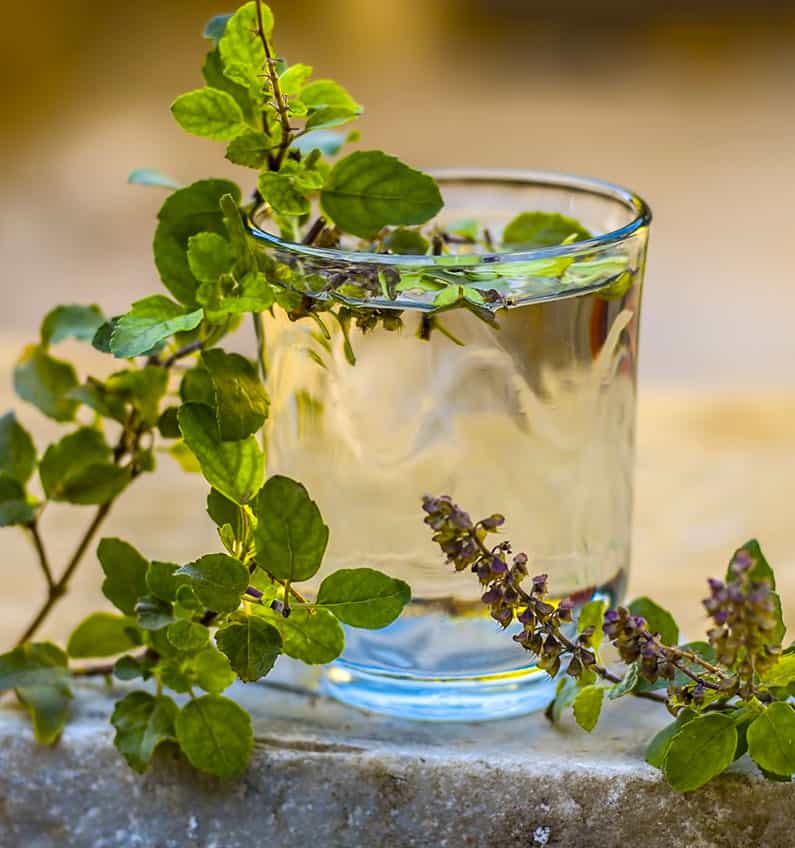 Migräne-Kräuter-Tulsi